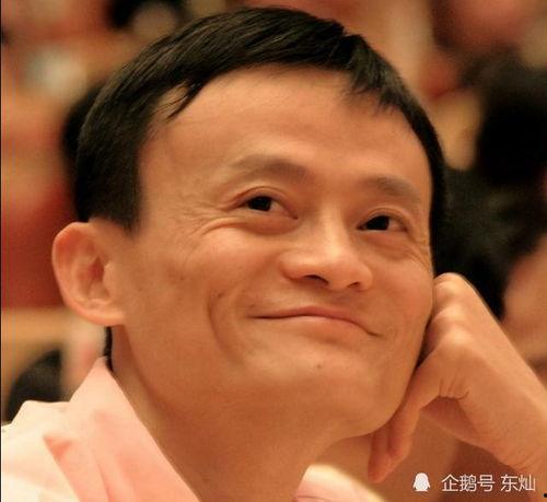 娱乐吃瓜君说二豆,二豆背后的故事与真相